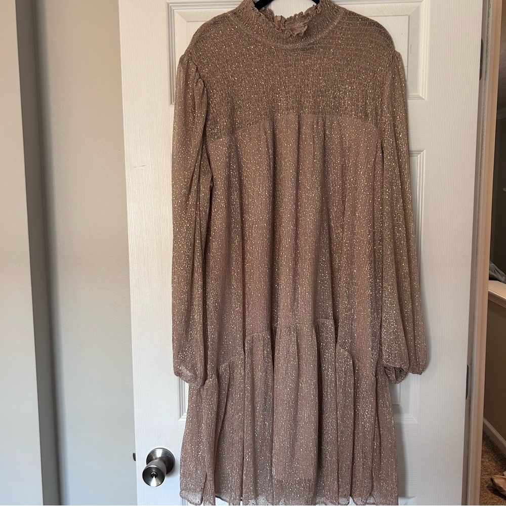 ❤️MAKE OFFER❤️ Rose gold metallic long sleeve ruffle collar plus dress 20W Sheer